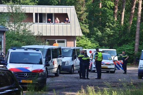 Vrouw aangehouden bij geweldsincident aan de Bosweg in Diever