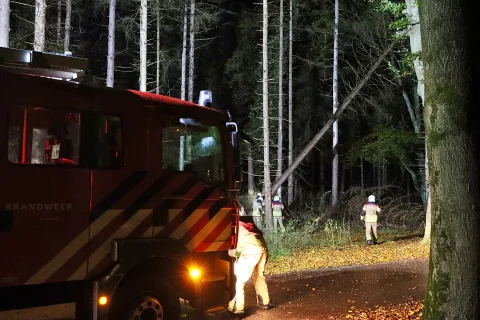 Brandweer gealarmeerd voor stormschade in Darp en De Bult
