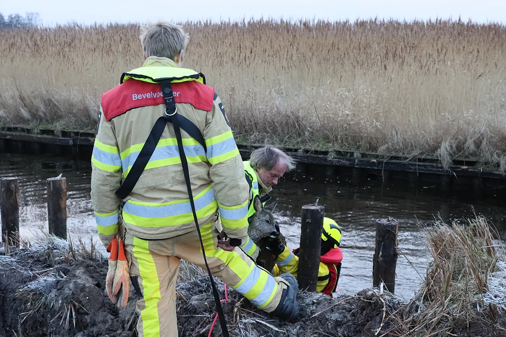 Brandweer Giethoorn red ree uit ijskoude water aan De Bramen in Giethoorn
