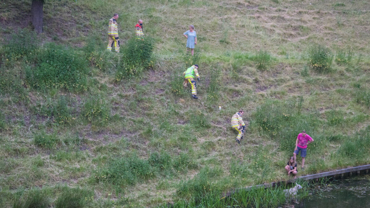 Brandweer redt schaap uit vestinggracht