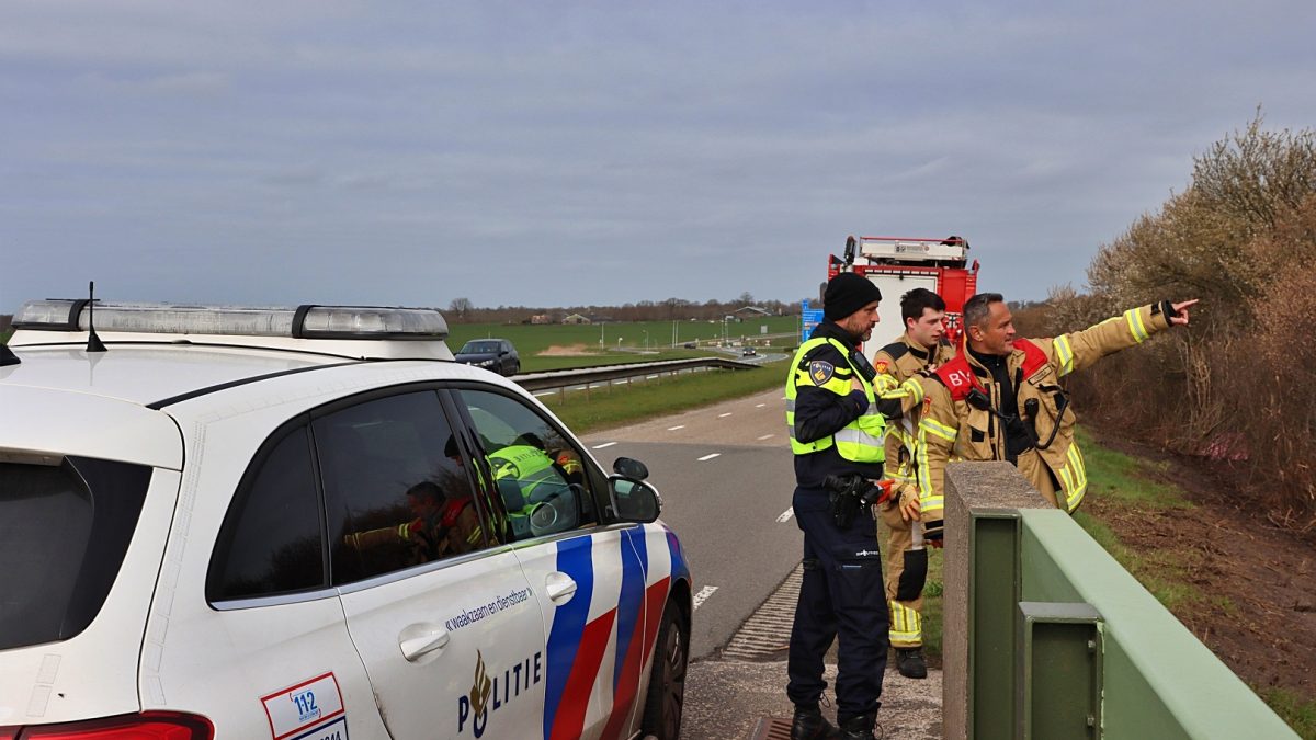 Brandweer Steenwijk gealarmeerd voor ree te water in het kanaal