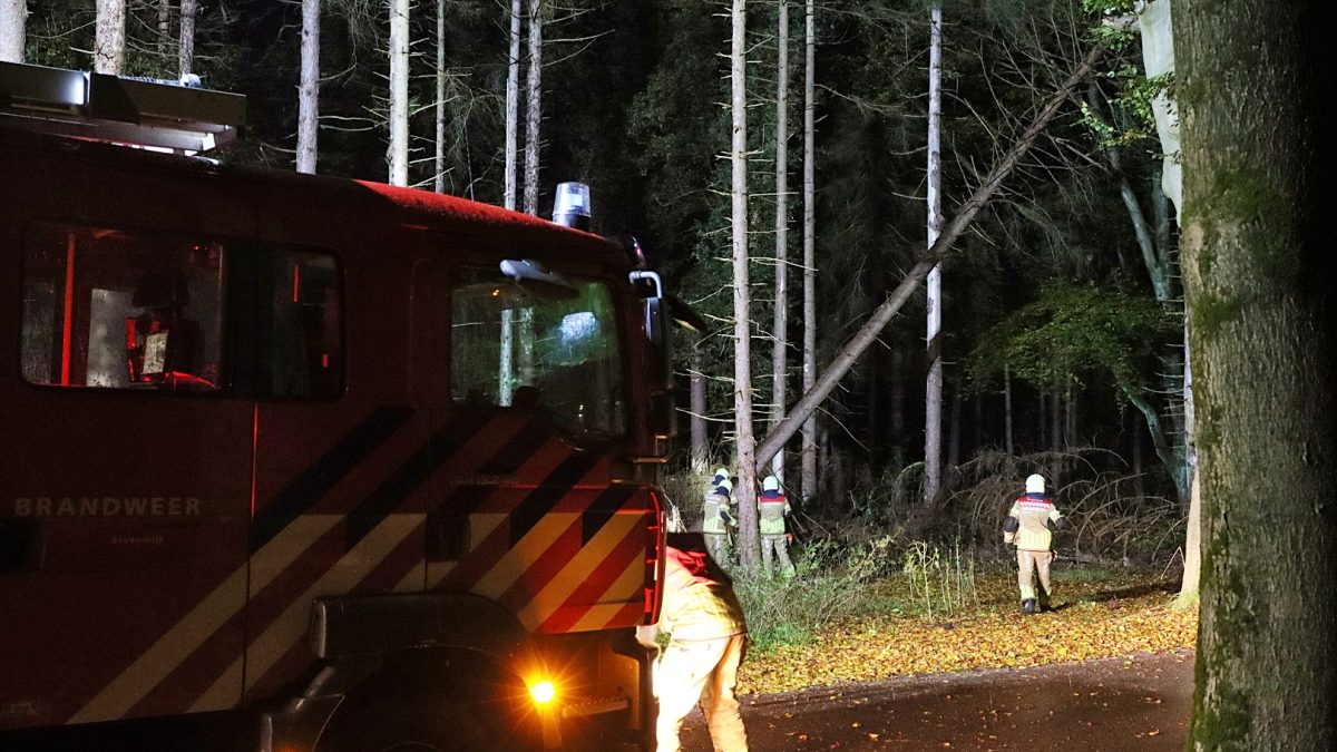 Brandweer gealarmeerd voor stormschade in Darp en De Bult