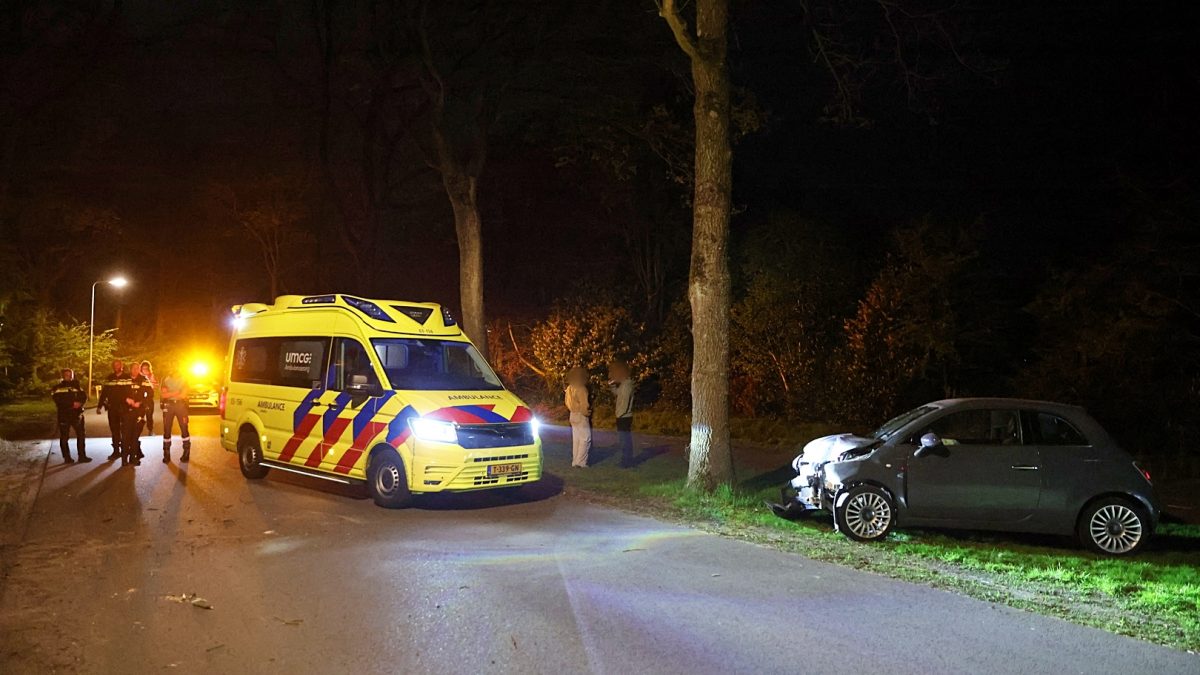 Bestuurster aangehouden nadat ze met haar voertuig tegen een boom botste aan de Nieuwe Ruiterweg in Havelte